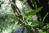  ( - SMC75)  @11 [ ] CreativeCommons - Attribution Non-Commercial Share-Alike (2019) Rafael F. del Castillo Instituto Politécnico Nacional