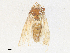  ( - CBG-A38508-F02)  @11 [ ] CreativeCommons - Attribution Share - Alike (2024) CBG Photography Group Centre for Biodiversity Genomics