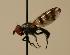  ( - ZMMU AIS000013)  @11 [ ] Unspecified (default): All Rights Reserved  Unspecified Unspecified