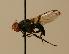  ( - ZMMU AIS000014)  @11 [ ] Unspecified (default): All Rights Reserved  Unspecified Unspecified