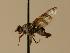  ( - ZMMU AIS000029)  @12 [ ] Unspecified (default): All Rights Reserved  Unspecified Unspecified