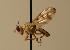  ( - ZMMU AIS000031)  @11 [ ] Unspecified (default): All Rights Reserved  Unspecified Unspecified