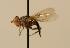  ( - ZMMU AIS000072)  @11 [ ] Unspecified (default): All Rights Reserved  Unspecified Unspecified