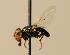  ( - ZMMU AIS000085)  @12 [ ] Unspecified (default): All Rights Reserved  Unspecified Unspecified
