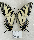  ( - TGSW-14)  @11 [ ] CreativeCommons  Attribution Non-Commercial (2024) Charles DeRoller Unspecified