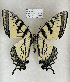  ( - TGSW-6)  @11 [ ] CreativeCommons  Attribution Non-Commercial (2024) Charles DeRoller Unspecified