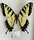  ( - TGSW-9)  @11 [ ] CreativeCommons  Attribution Non-Commercial (2024) Charles DeRoller Unspecified