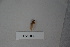  ( - BHAK-04546)  @11 [ ] CreativeCommons - Attribution No Derivatives (2018) Hakai Institute Hakai Institute