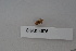  ( - BHAK-04576)  @11 [ ] CreativeCommons - Attribution No Derivatives (2018) Hakai Institute Hakai Institute