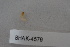  ( - BHAK-04579)  @11 [ ] CreativeCommons - Attribution No Derivatives (2018) Hakai Institute Hakai Institute