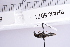 ( - BHAK-05071)  @11 [ ] CreativeCommons - Attribution No Derivatives (2018) Hakai Institute Hakai Institute