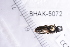  ( - BHAK-05072)  @11 [ ] CreativeCommons - Attribution No Derivatives (2018) Hakai Institute Hakai Institute