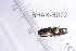 ( - BHAK-05072)  @11 [ ] CreativeCommons - Attribution No Derivatives (2018) Hakai Institute Hakai Institute