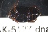  ( - BHAK-05127)  @11 [ ] CreativeCommons - Attribution No Derivatives (2018) Hakai Institute Hakai Institute