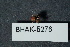  ( - BHAK-05276)  @11 [ ] CreativeCommons - Attribution No Derivatives (2018) Hakai Institute Hakai Institute