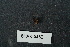 ( - BHAK-05452)  @11 [ ] CreativeCommons - Attribution No Derivatives (2018) Hakai Institute Hakai Institute