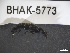  ( - BHAK-05773)  @11 [ ] CreativeCommons - Attribution No Derivatives (2018) Hakai Institute Hakai Institute
