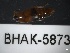  ( - BHAK-05873)  @11 [ ] CreativeCommons - Attribution No Derivatives (2018) Hakai Institute Hakai Institute