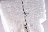  ( - BHAK-06241)  @11 [ ] CreativeCommons - Attribution No Derivatives (2018) Hakai Institute Hakai Institute