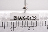  ( - BHAK-06432)  @11 [ ] CreativeCommons - Attribution No Derivatives (2018) Hakai Institute Hakai Institute