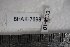  ( - BHAK-07698)  @12 [ ] CreativeCommons - Attribution No Derivatives (2018) Hakai Institute Hakai Institute