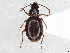  ( - BHAK-12168)  @11 [ ] CreativeCommons - Attribution (2021) CBG Photography Group Centre for Biodiversity Genomics