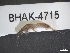  ( - BHAK-04715)  @11 [ ] CreativeCommons - Attribution No Derivatives (2018) Hakai Institute Hakai Institute