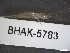  ( - BHAK-05783)  @11 [ ] CreativeCommons - Attribution No Derivatives (2018) Hakai Institute Hakai Institute