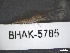  ( - BHAK-05785)  @11 [ ] CreativeCommons - Attribution No Derivatives (2018) Hakai Institute Hakai Institute