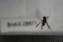 ( - BHAK-08671)  @11 [ ] CreativeCommons - Attribution No Derivatives (2018) Hakai Institute Hakai Institute