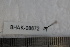  ( - BHAK-08672)  @11 [ ] CreativeCommons - Attribution No Derivatives (2018) Hakai Institute Hakai Institute