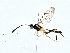  (Melcha - BIOUG85476-B08)  @11 [ ] CreativeCommons - Attribution (2022) CBG Photography Group Centre for Biodiversity Genomics