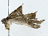  ( - BIOUG85476-C12)  @11 [ ] CreativeCommons - Attribution (2022) CBG Photography Group Centre for Biodiversity Genomics