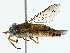  ( - BIOUG85478-C02)  @11 [ ] CreativeCommons - Attribution (2022) CBG Photography Group Centre for Biodiversity Genomics
