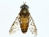  ( - BIOUG85478-C06)  @11 [ ] CreativeCommons - Attribution (2022) CBG Photography Group Centre for Biodiversity Genomics
