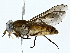  ( - BIOUG85478-C08)  @11 [ ] CreativeCommons - Attribution (2022) CBG Photography Group Centre for Biodiversity Genomics