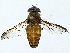  ( - BIOUG85478-C09)  @11 [ ] CreativeCommons - Attribution (2022) CBG Photography Group Centre for Biodiversity Genomics