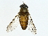  ( - BIOUG85478-D02)  @11 [ ] CreativeCommons - Attribution (2022) CBG Photography Group Centre for Biodiversity Genomics