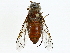  ( - BIOUG91320-C05)  @11 [ ] CreativeCommons - Attribution (2022) CBG Photography Group Centre for Biodiversity Genomics