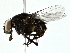  ( - BIOUG91428-A04)  @11 [ ] CreativeCommons - Attribution (2022) CBG Photography Group Centre for Biodiversity Genomics