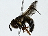  ( - BIOUG89986-E11)  @11 [ ] CreativeCommons - Attribution (2022) CBG Photography Group Centre for Biodiversity Genomics