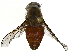  ( - BIOUG89986-G01)  @11 [ ] CreativeCommons - Attribution (2022) CBG Photography Group Centre for Biodiversity Genomics