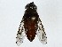  ( - BIOUG89986-G09)  @11 [ ] CreativeCommons - Attribution (2022) CBG Photography Group Centre for Biodiversity Genomics