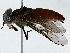 ( - BIOUG89986-G10)  @11 [ ] CreativeCommons - Attribution (2022) CBG Photography Group Centre for Biodiversity Genomics