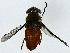  ( - BIOUG89986-G11)  @11 [ ] CreativeCommons - Attribution (2022) CBG Photography Group Centre for Biodiversity Genomics