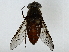  ( - BIOUG89986-G12)  @11 [ ] CreativeCommons - Attribution (2022) CBG Photography Group Centre for Biodiversity Genomics