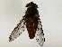  ( - BIOUG89986-H02)  @11 [ ] CreativeCommons - Attribution (2022) CBG Photography Group Centre for Biodiversity Genomics