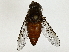  ( - BIOUG89986-H04)  @11 [ ] CreativeCommons - Attribution (2022) CBG Photography Group Centre for Biodiversity Genomics