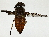  ( - BIOUG89986-H06)  @11 [ ] CreativeCommons - Attribution (2022) CBG Photography Group Centre for Biodiversity Genomics