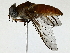  ( - BIOUG89986-H07)  @11 [ ] CreativeCommons - Attribution (2022) CBG Photography Group Centre for Biodiversity Genomics